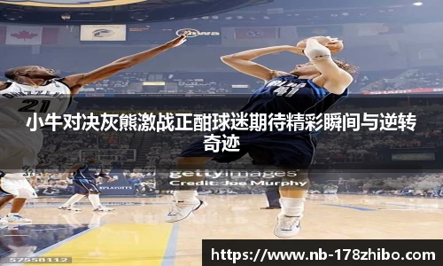 小牛对决灰熊激战正酣球迷期待精彩瞬间与逆转奇迹